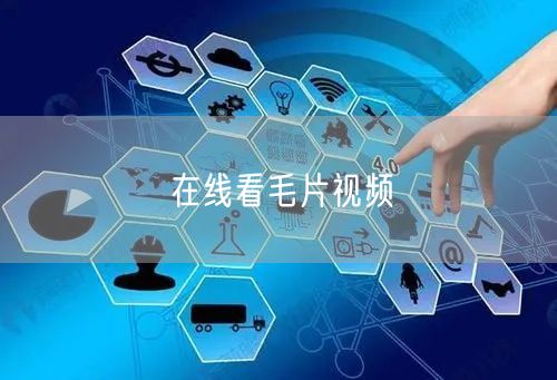 在线看毛片视频