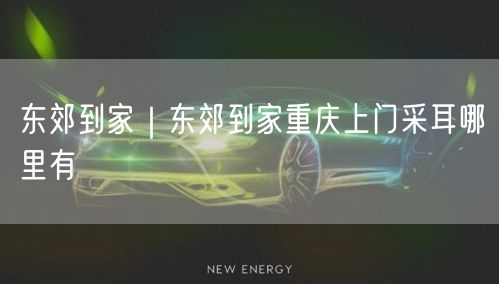 东郊到家｜东郊到家重庆上门采耳哪里有