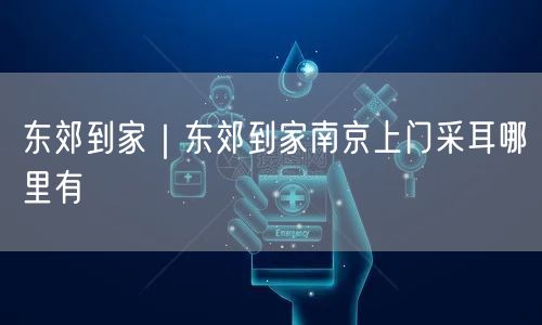 东郊到家｜东郊到家南京上门采耳哪里有