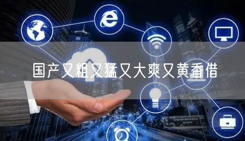 国产又粗又猛又大爽又黄香借