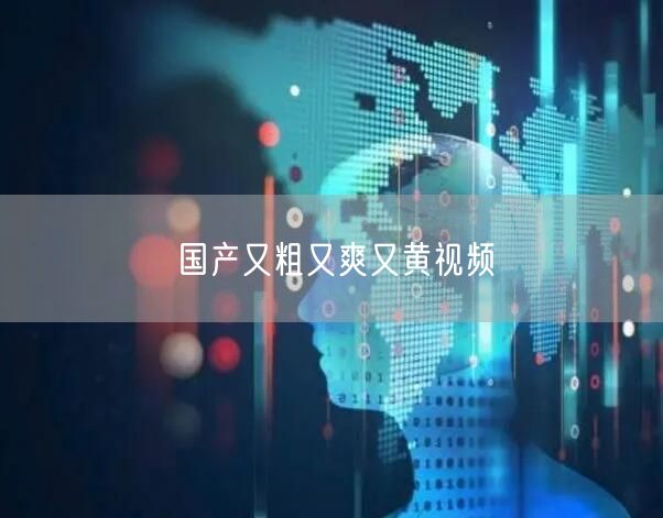 国产又粗又爽又黄视频