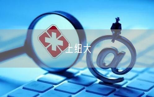 上纽大