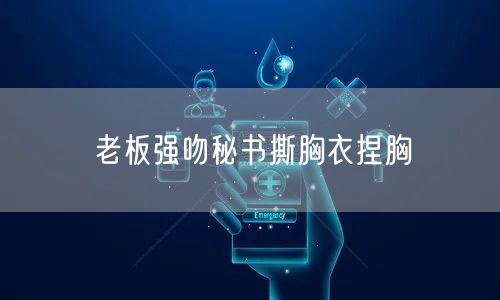 老板强吻秘书撕胸衣捏胸
