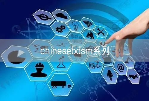 chinesebdsm系列