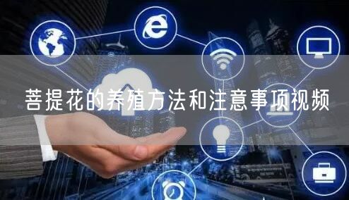 菩提花的养殖方法和注意事项视频