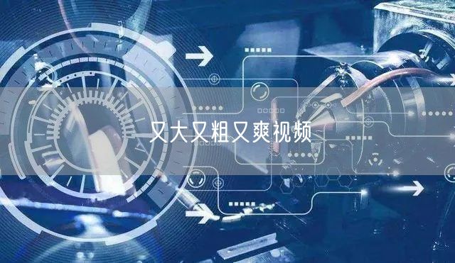又大又粗又爽视频