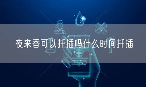 夜来香可以扦插吗什么时间扦插