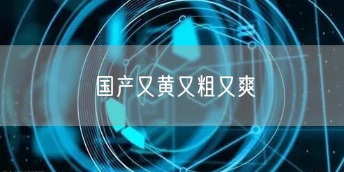 国产又黄又粗又爽